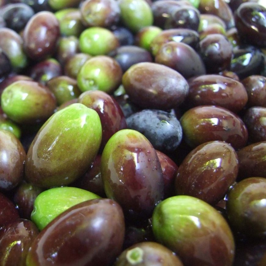 Olive da friggere – Rossomasseria